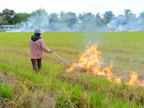 Is Chiang Mai Safe during Smoke Season